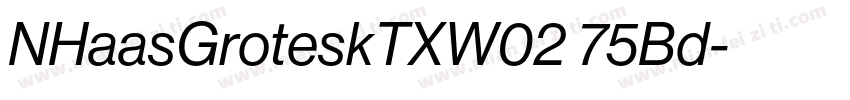 NHaasGroteskTXW02 75Bd字体转换